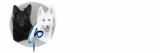 Canine Ardor